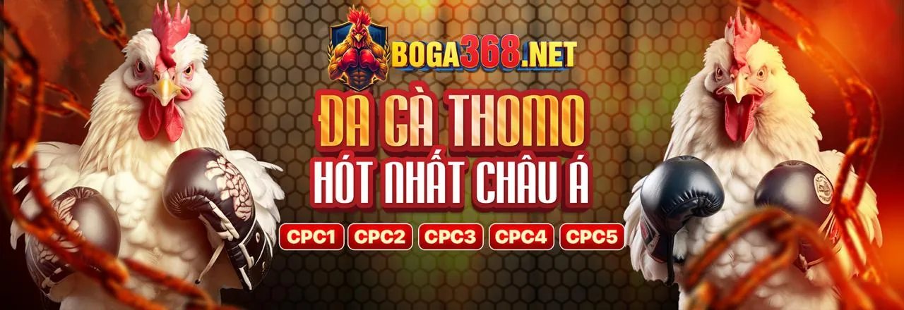 Hướng dẫn các bước cá cược đá gà tại 13wim login